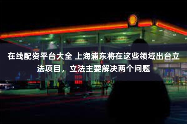 在线配资平台大全 上海浦东将在这些领域出台立法项目，立法主要解决两个问题