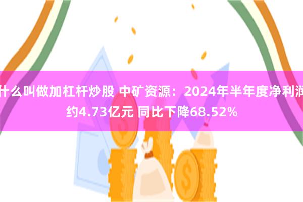 什么叫做加杠杆炒股 中矿资源：2024年半年度净利润约4.73亿元 同比下降68.52%