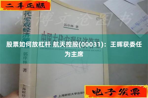 股票如何放杠杆 航天控股(00031)：王晖获委任为主席