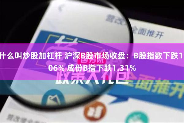 什么叫炒股加杠杆 沪深B股市场收盘：B股指数下跌1.06% 成份B指下跌1.31%