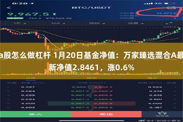 a股怎么做杠杆 1月20日基金净值：万家臻选混合A最新净值2.8461，涨0.6%