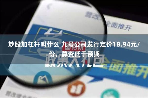 炒股加杠杆叫什么 九号公司发行定价18.94元/份，募资低于预期